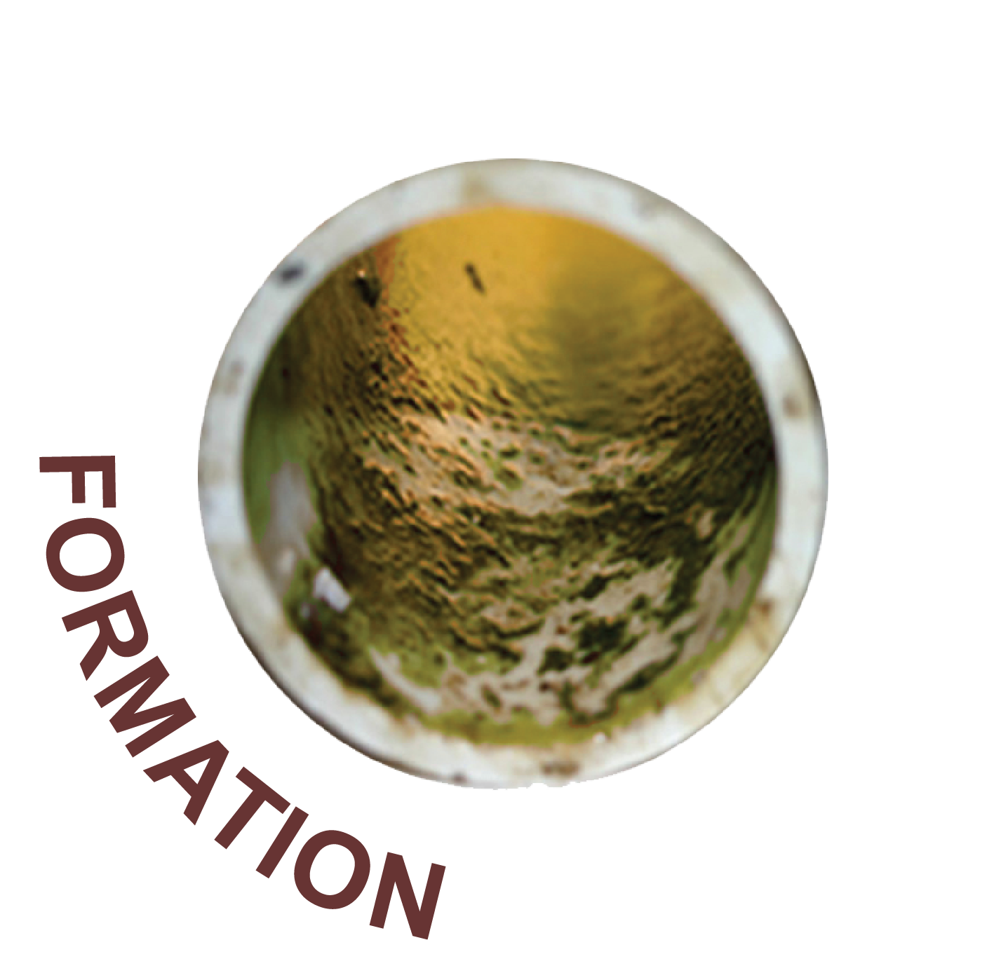 3 Stages of Surface Bacteria Film Group Image