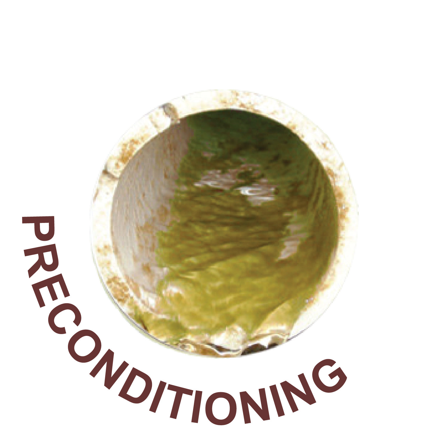 3 Stages of Surface Bacteria Film Group Image