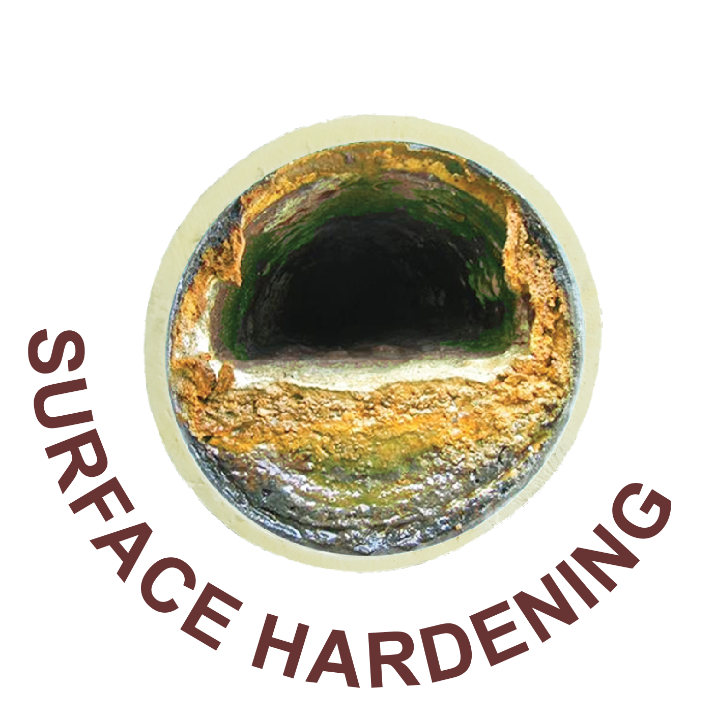 3 Stages of Surface Bacteria Film Group Image