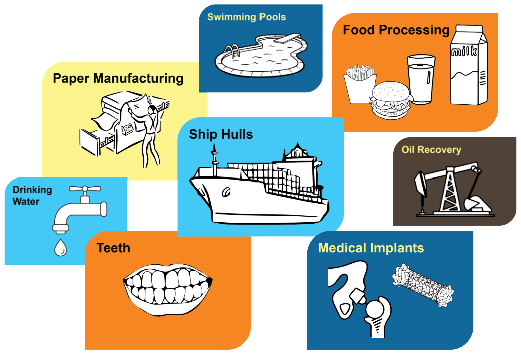 Biofilm Impact Group Image