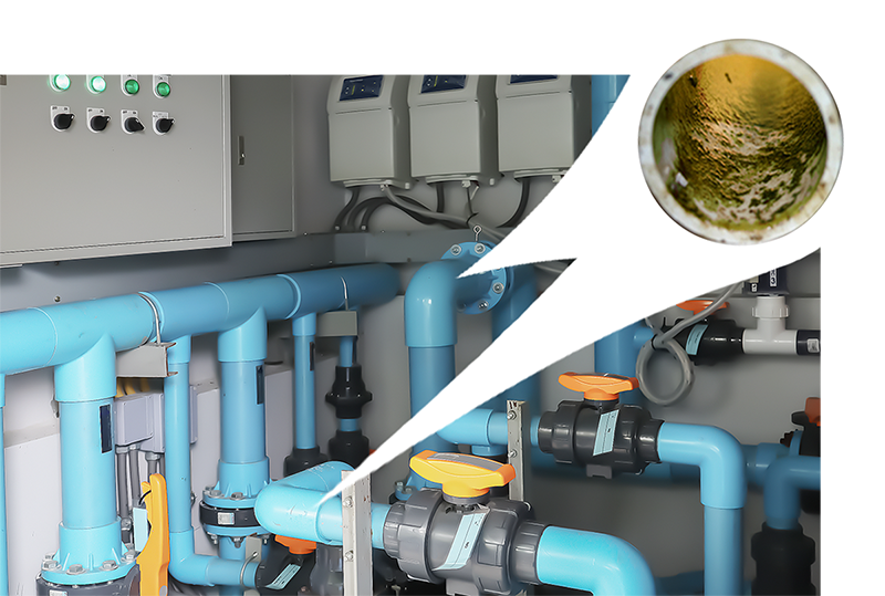 Commercial Pool Plumbing showing Biofilm Pipe Image