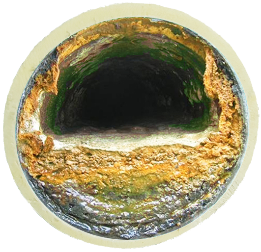 Biofilm Life Cycle Pie Image